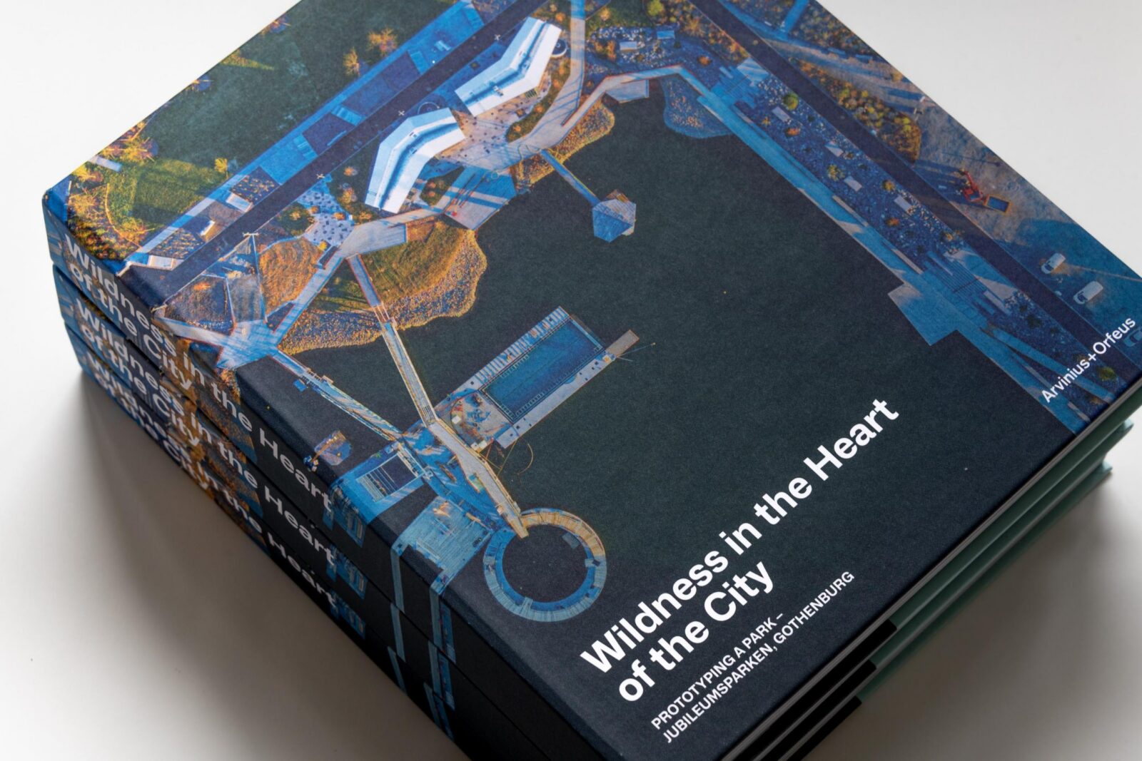 20251120 Fotomarjeeelma 0002