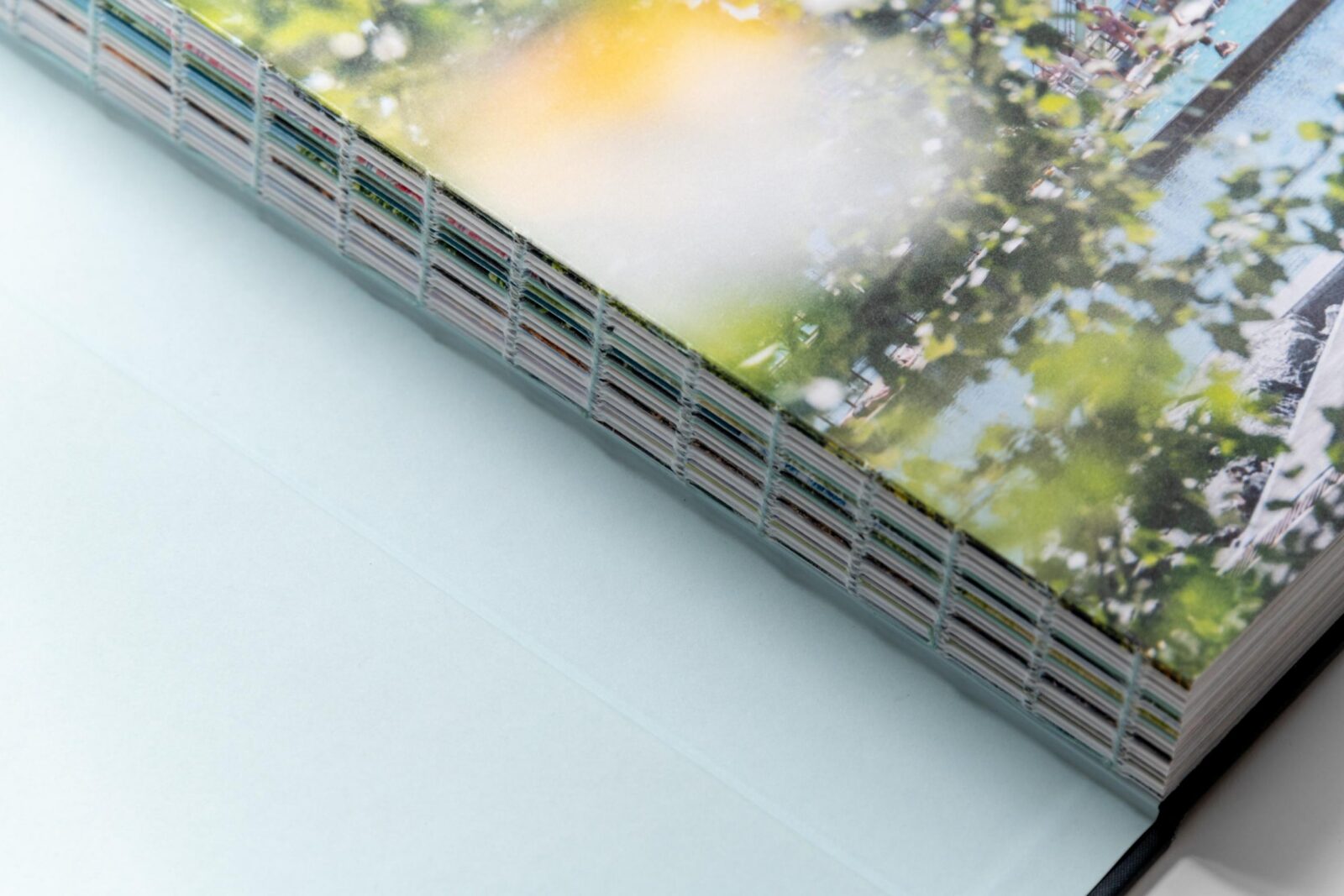 20251120 Fotomarjeeelma 0054