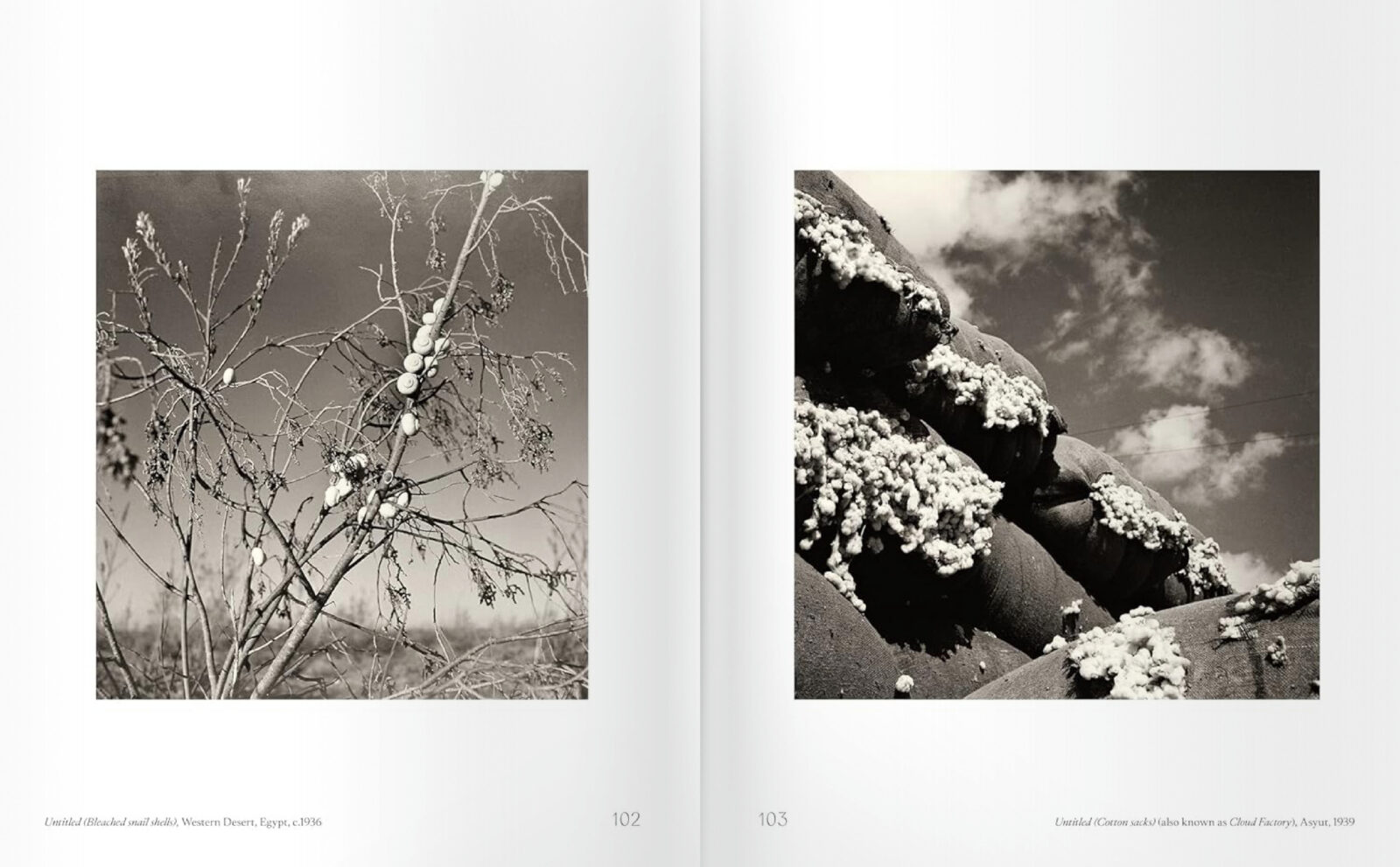 9781849769808 S102 103