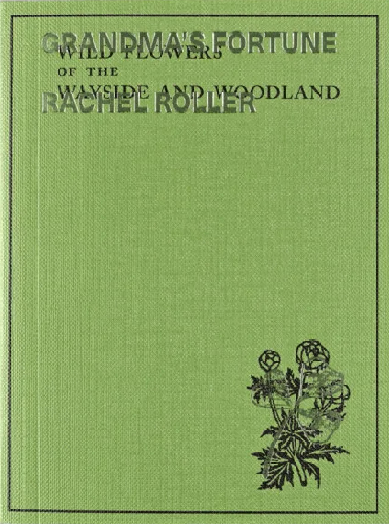 9781919531205 Cover