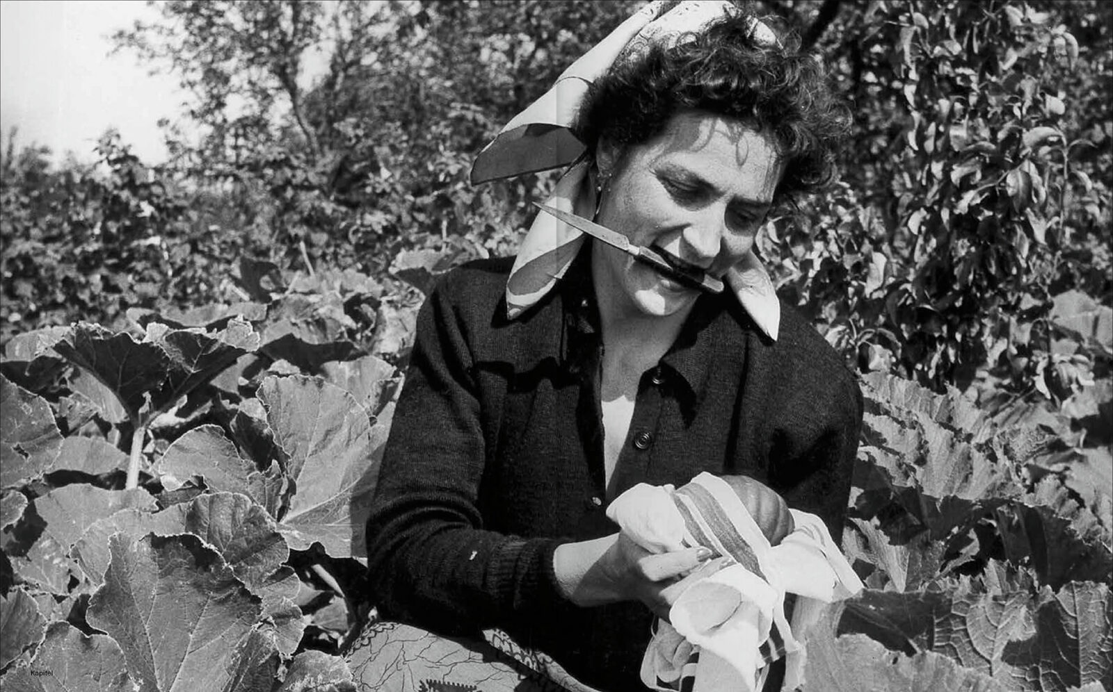 9783777441320 S222 223