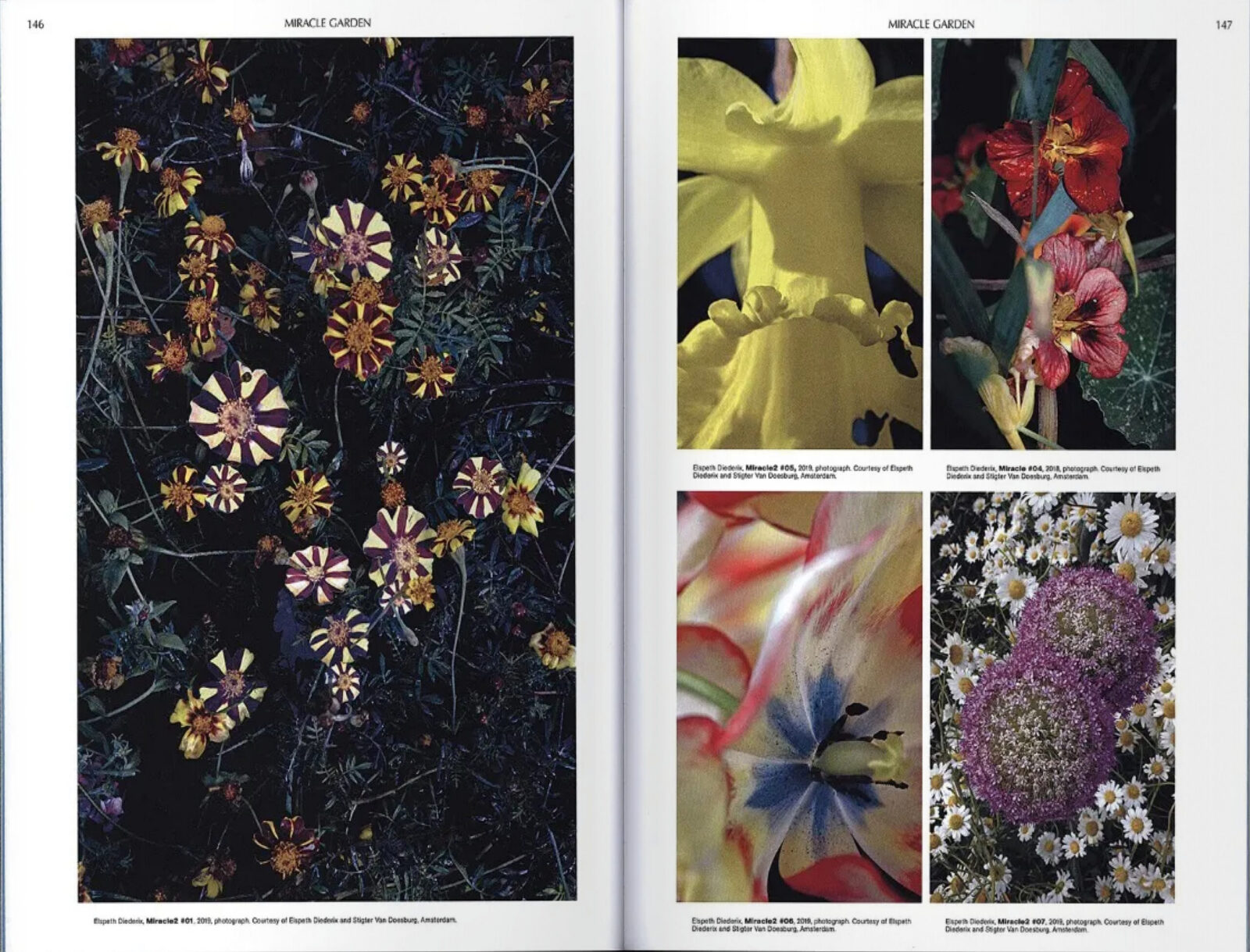 9789493246003 S146 147